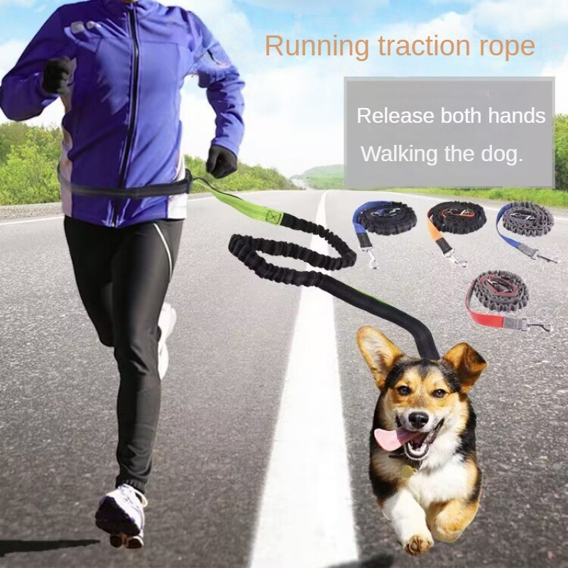 Running Gear Organizer - Hand Free Dog Leash for Pet