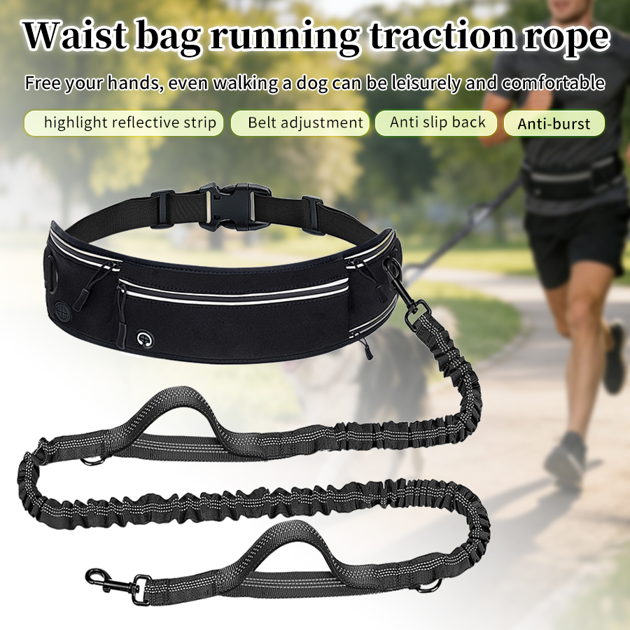 Running Gear Organizer - Foldable Reflective Dog Leash with Waist
