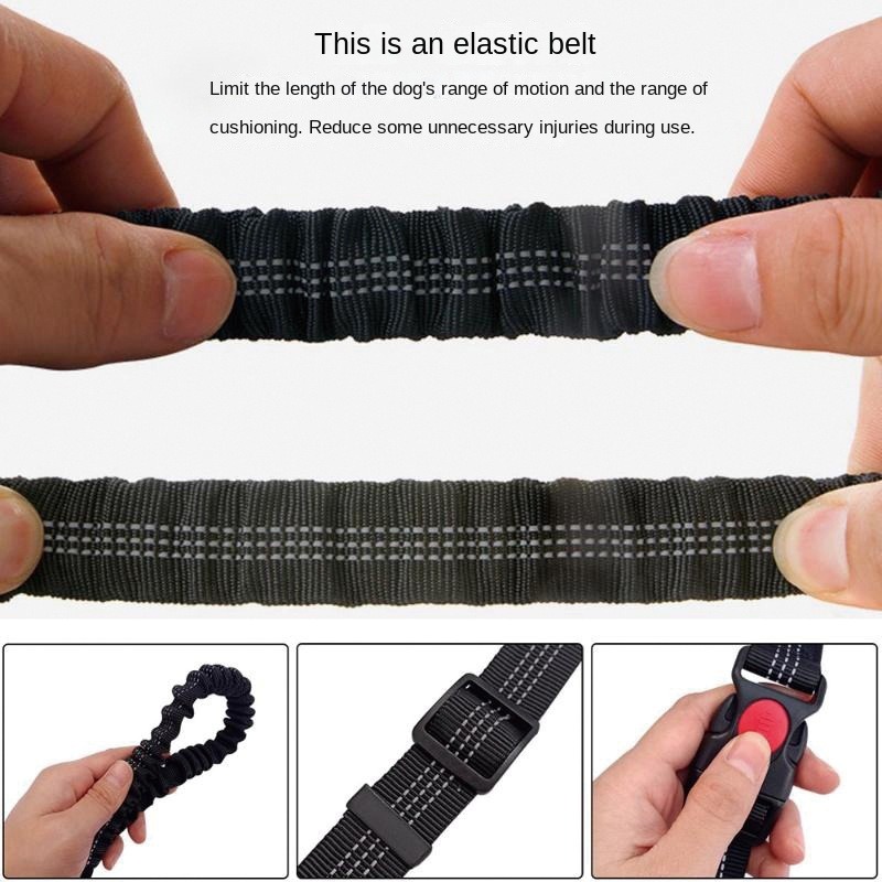 Hand Free Dog Leash for Pet Wa - Running Gear Organizer avis et prix