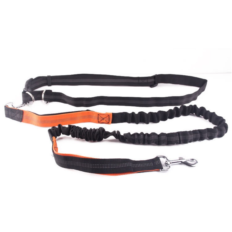 Hand Free Dog Leash for Pet Wa - Running Gear Organizer avis et prix