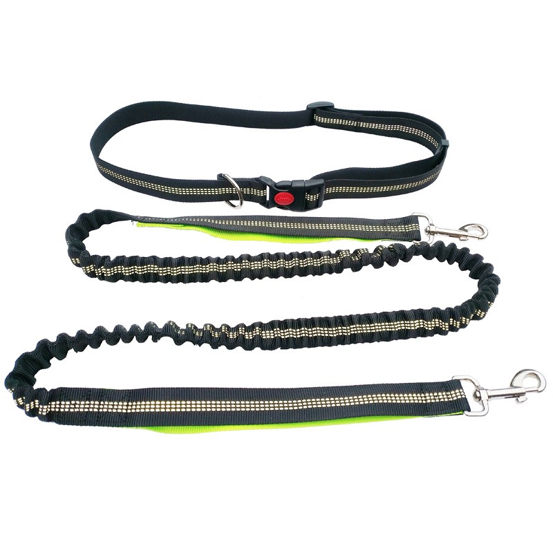 Hand Free Dog Leash for Pet Wa - Running Gear Organizer avis et prix