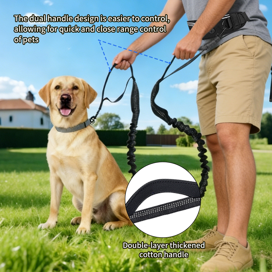 Foldable Reflective Dog Leash  - Running Gear Organizer avis et prix